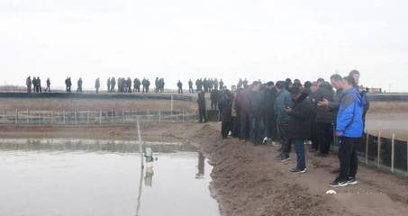 火爆!現(xiàn)場定苗8000斤,十幾年扣蟹養(yǎng)殖戶:瑞灃苗,良心苗,豐收苗!