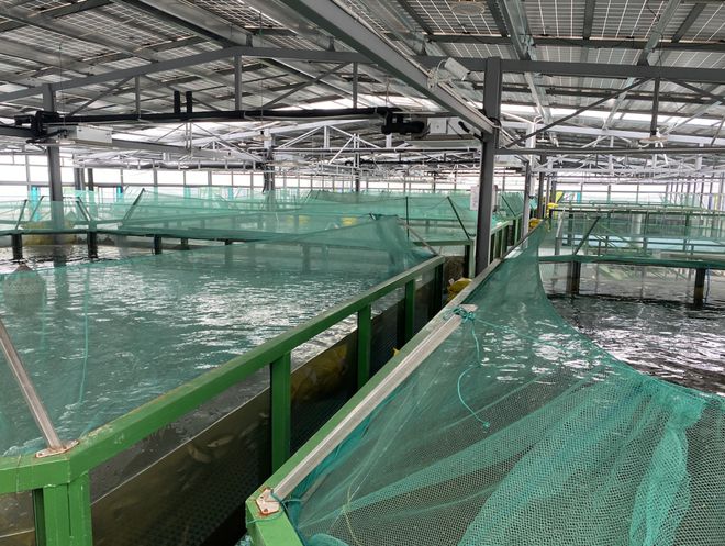 浙江首批“未來農(nóng)場”公布 十大休閑觀光新地標(biāo)，體驗(yàn)未來農(nóng)業(yè)新魅力