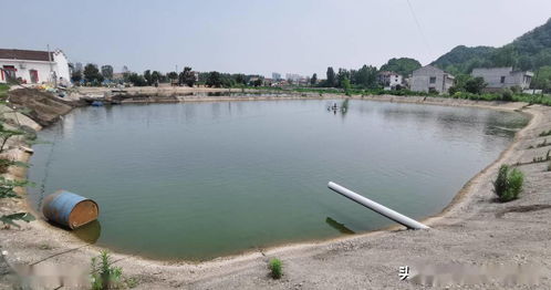 應(yīng)用新模式新技術(shù)，推動(dòng)水產(chǎn)養(yǎng)殖綠色轉(zhuǎn)型與可持續(xù)發(fā)展