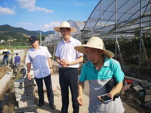 水產(chǎn)養(yǎng)殖災(zāi)后恢復(fù)技術(shù)指導(dǎo) 浙江磐安、德清兩地行
